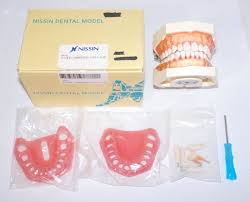 NISSIN 歯周病 歯科 模型 歯周外科 顎模型 歯科衛生士 ニッシン スケーリング