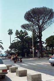 Check spelling or type a new query. Saint Raphael Frankreich Sehenswurdigkeiten Bilder Rundgang