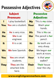 They must match the noun they modify in both gender and number in all forms. Possessive Adjectives Definition And Example Sentences English Grammar Here