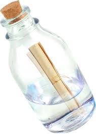 Msg In A Bottle Flessenpost