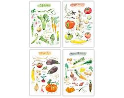 4 Seasons Wall Art Set Of 4 Prints Vegetable Poster Set Watercolor Painting Colorful Kitchen Decor Vegan Food Art Veggie Illustration Art Print Set Colorful Kitchen Art Watercolor Paintings