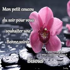 Bonne Soiree Du 14 Janvier Bonne Soiree Image Bonne Soiree Bisous Du Soir