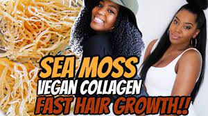 We did not find results for: Extreme Hair Growth With Sea Moss Vegan Collagen Natural Hair Youtube