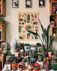 How To Care For Indoor Succulents Succulents Network Plant Decor Indoor Plant Decor Succulents Indoor