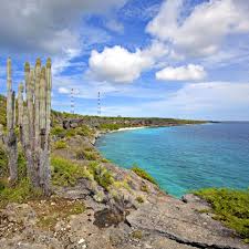 Things you definitely need and want to know! Klm Travel Guide The Unspoilt Nature Of Bonaire
