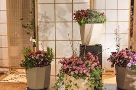 We did not find results for: Indoor Flowers For Beginners 12 Easy Care Beauties Jay Scotts Collection