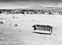 Courtney S. Danforth