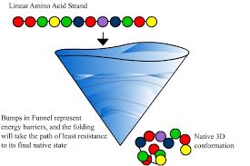 Dna mutations practice worksheet point mutation mutation. Structural Biochemistry Volume 5 Wikibooks Open Books For An Open World