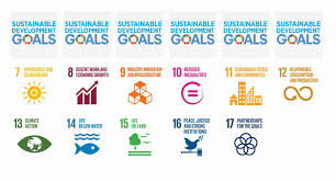 Integrate the principles of sustainable development into country policies and programmes and reverse the loss of environmental resources. Youth 4 Global Goals Malaysia Youthspeak Forum 2018 Sustainable Development Goals Facebook