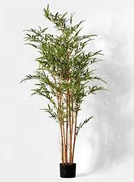 Beautiful B M Bamboo Plants Only On This Page Bamboo Plants Artificial Potted Plants Bamboo Tree