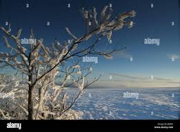 نتیجه جستجوی لغت [abruptness] در گوگل