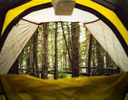 We did not find results for: Parks Campgrounds Public Lands That Offer Free Camping Roadtrippers