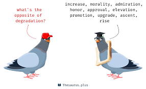 39 Degradation Antonyms Full List Of Opposite Words Of Degradation