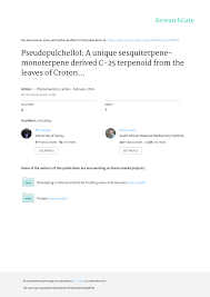 Image result for Phyllanthus pseudocarunculatus