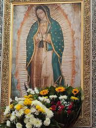 Profile for Magali Serrano