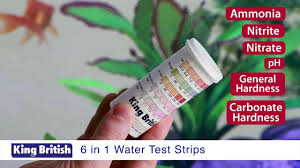 King British 6 In 1 Water Test Strips