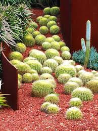 The Royal Botanic Gardens Sydney Australia Jardin De Cactus Jardin De Cactus De Exterior Y Plantas Para Jardineras