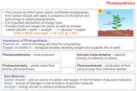 Icse Solutions For Class 10 Biology Photosynthesis A