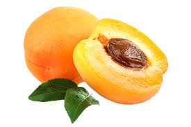 Apricot oil is amazing for a healthy scalp and shiny hair if the cold weather is making your hair dry and dull, massage apricot oil along with coconut oil or olive oil to restore your softness and shine. Apricot Kernel Oil Ayurvedic Ingredients Uses Benefits Forest Essentials Forest Essentials