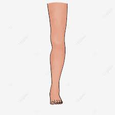 Learn to perform a leg hold, a popular dance move requiring balance, concentration, and extensive stretching for impressive flexibility. Cartoon Upright Legs Clipart Leg Clipart Leg Limb Png Transparent Clipart Image And Psd File For Free Download