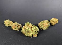 Shout out to leafly for recognizing our partners seed junky genetics, powerzzzup, and compound genetics as breeders to follow on instagram for hot new strains! Strain Highlight Queen Bee Tetra Blog