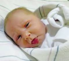 Steuben County births