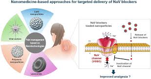 Image result for Sodium Channel Blocker