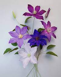 Lynn Dolan On Instagram A Single Template A Multitude Of Variations How Do You Pronounce Clematis Kluh Maa Tis Paper Flowers Clematis Paper Ornaments