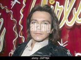 Singer and teen idol David Cassidy, best known for his role as TV's Keith  Partridge