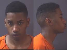 Fishers Police Arrest 2