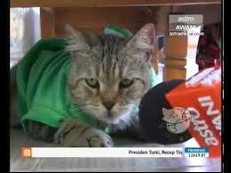 Tõnÿ · июля 24, 2016 · nsfw. Download Oh My Jep Mp4 3gp Naijagreenmovies Netnaija Fzmovies