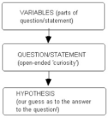 It is the assumption that the researcher challenges and tries to reject or prove wrong. Lesson3 2 1