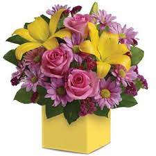 #smithfield #craigmore #roses #valentinesday www.flowersrus.net.au. Main Home Flowers R Us