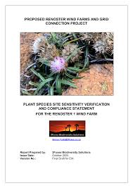 Image result for Tristachya rehmannii