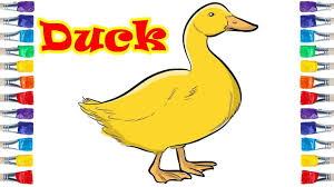 Cartoon Bird Drawing For Kids With Colour Draw So Cute Duck Coloring Drawing For Kids رسم بطة Drawing For Kids Cute Drawings Drawings