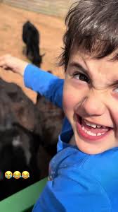 The Apple Orchard Trend Cow