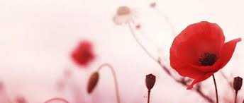 Patricia Barrow (Patsy)