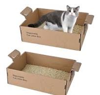 Cardboard Travel Cat Litter Tray Waterproof Leak Proof 2 Pack Disposable  Cat Litter Boxes - Large Cardboard Travel Litter Box 17.4x12.3x5.4  Disposable ...