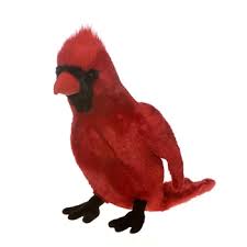 Pin On Plush And Stuffed Birds