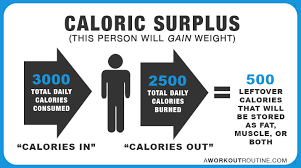How Many Calories Should I Eat A Day To Lose Weight Or Gain