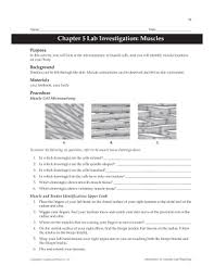 You can do the exercises online or download the worksheet as pdf. Chapter 5 Lab Investigation Muscles Answer Key Fill Online Printable Fillable Blank Pdffiller
