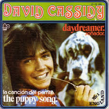 David Cassidy