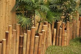 10 contoh pagar rumah keren sebagai bahan inspirasi kalian yang mau bikin pagar rumah. 10 Desain Pagar Bambu Yang Membuatmu Merasa Ada Di China