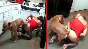 Woman Lures Dog Into The Kitchen Where She Is Going To Have Xxx Sex Xxx Femefun