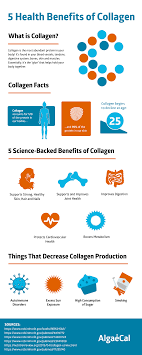 A Vegetarians Guide To Collagen And Healthy Bones Algaecal