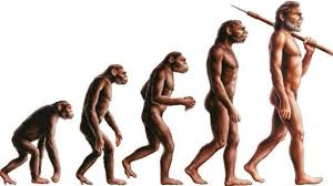 Il suo cranio era allungato posteriormente e di dimensioni superiori rispetto a quelle dell'uomo moderno; L Auto Addomesticamento Come Ipotesi Dell Evoluzione Umana