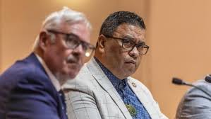 NP councillors remain divided over remuneration scale