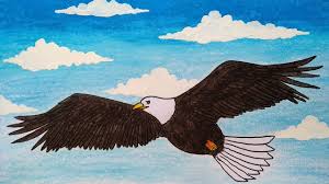 Termasuk dalam jenis hewan pun indonesia memiliki banyak. Menggambar Burung Rajawali Menggambar Burung Elang Cara Menggambar Burung Yang Mudah Youtube