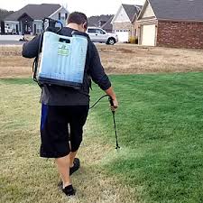 Amazon Com Grass Paint Concentrate 500 1 000 Sq Ft For Dormant Patchy Or Faded Lawn Lush Green Turf Colorant 32 Fl Oz Garden Outdoor