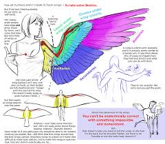 If you want to learn how to draw wings in easy ways, you have found the right place. Wings On Humans Wings Drawing Wing Anatomy Art Tutorials